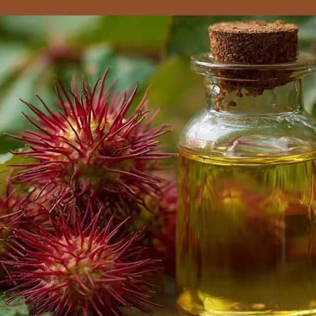 Les bienfaits prouvés de l'huile de ricin pour la digestion et le bien-être